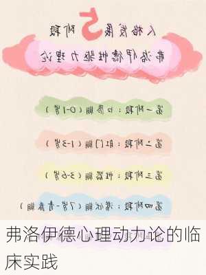 弗洛伊德心理动力论的临床实践