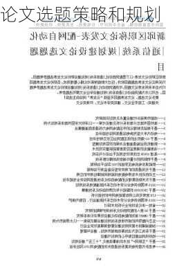 论文选题策略和规划