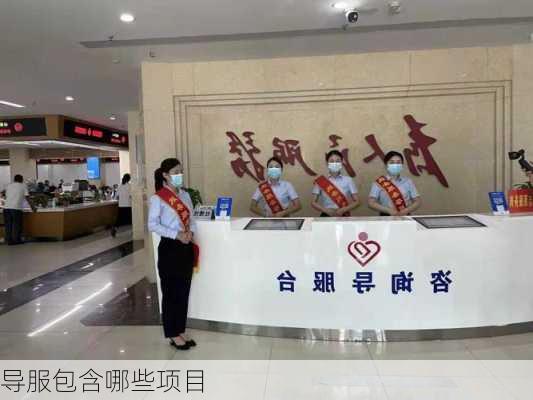 导服包含哪些项目