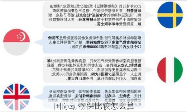 国际动物保比较怎么算