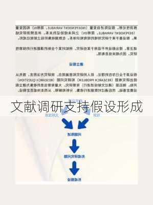 文献调研支持假设形成