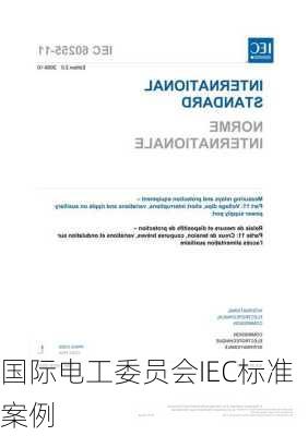 国际电工委员会IEC标准案例