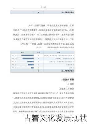 古着文化发展现状