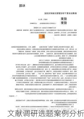 文献调研选题案例分析