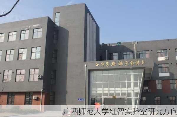 广西师范大学红智实验室研究方向