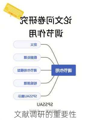 文献调研的重要性