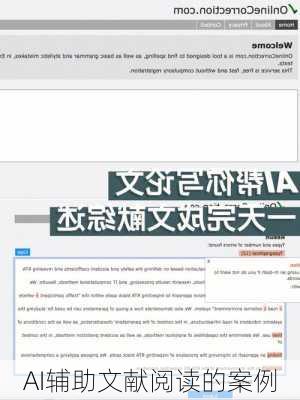 AI辅助文献阅读的案例