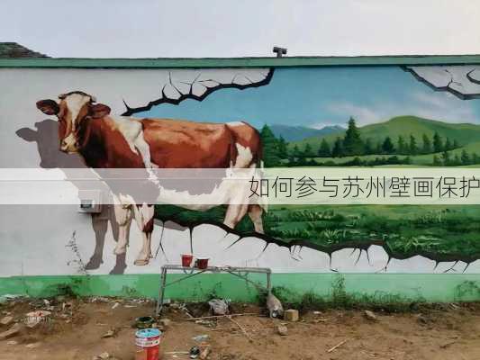 如何参与苏州壁画保护