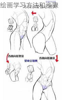 绘画学习方法和步骤