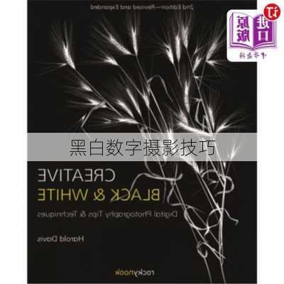 黑白数字摄影技巧