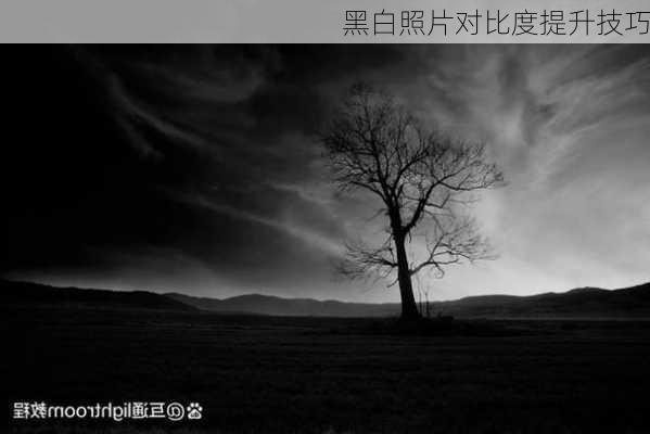 黑白照片对比度提升技巧