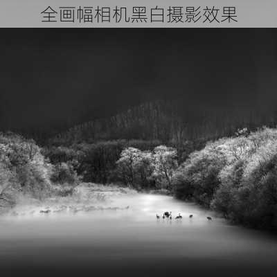 全画幅相机黑白摄影效果