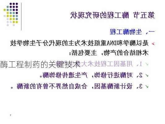 酶工程制药的关键技术