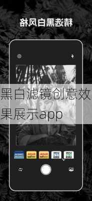 黑白滤镜创意效果展示app