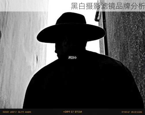 黑白摄影滤镜品牌分析