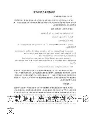 文献调研选题案例分析论文