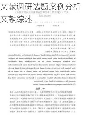 文献调研选题案例分析文献综述