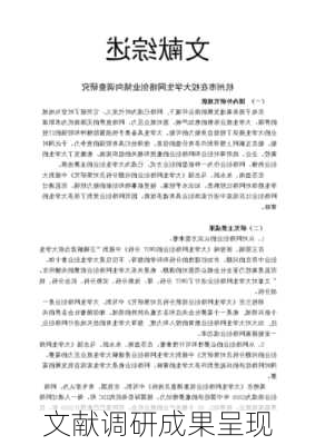 文献调研成果呈现