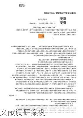 文献调研案例
