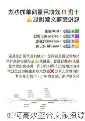 如何高效整合文献资源