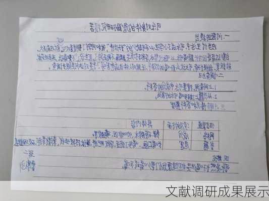 文献调研成果展示