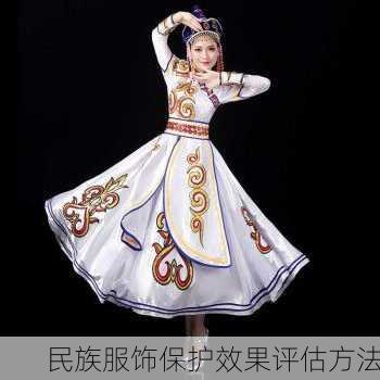 民族服饰保护效果评估方法