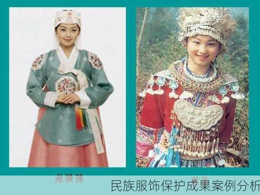 民族服饰保护成果案例分析
