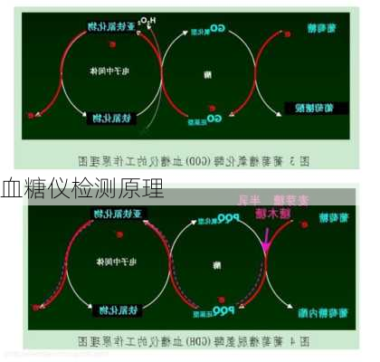 血糖仪检测原理