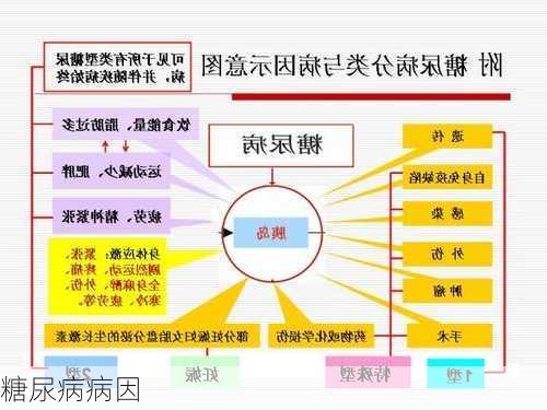 糖尿病病因
