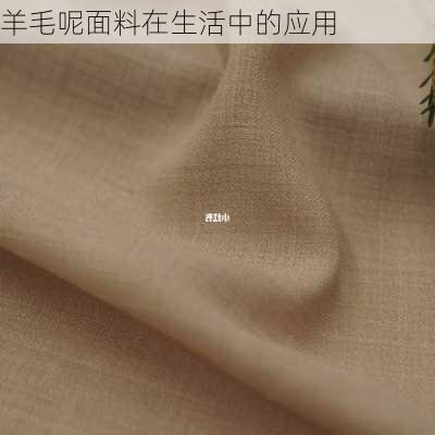 羊毛呢面料在生活中的应用