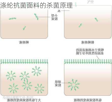 涤纶抗菌面料的杀菌原理