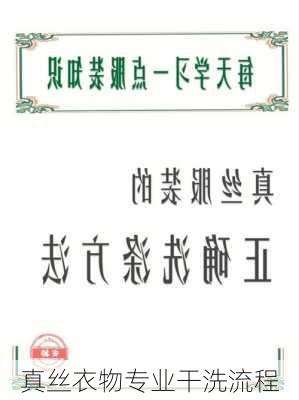 真丝衣物专业干洗流程