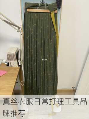 真丝衣服日常打理工具品牌推荐