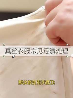真丝衣服常见污渍处理