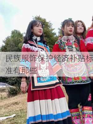 民族服饰保护经济补贴标准有那些