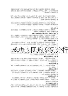 成功的团购案例分析