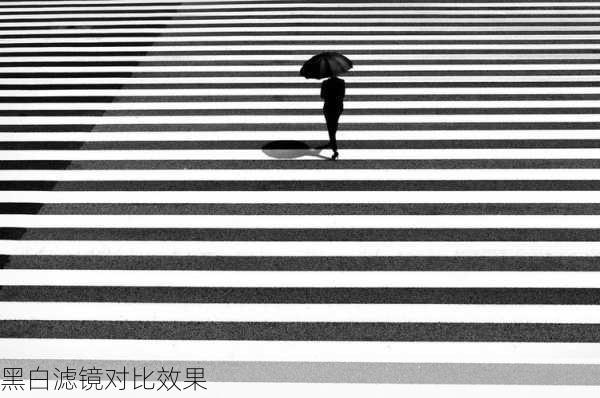 黑白滤镜对比效果