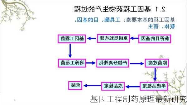基因工程制药原理最新研究
