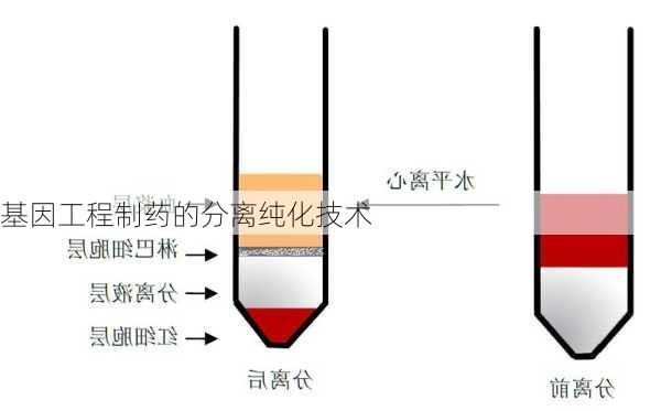 基因工程制药的分离纯化技术