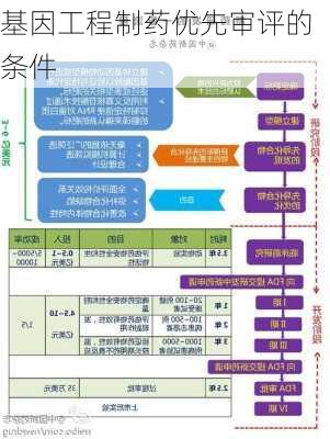 基因工程制药优先审评的条件