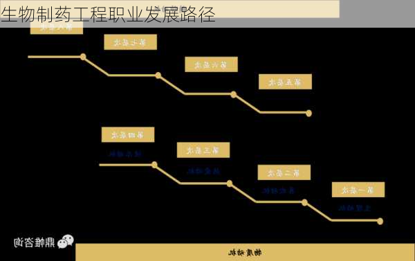 生物制药工程职业发展路径