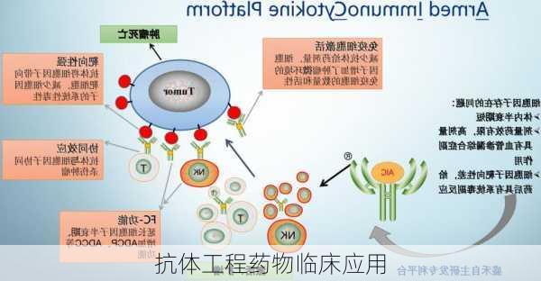 抗体工程药物临床应用