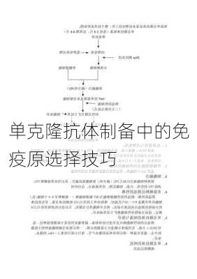 单克隆抗体制备中的免疫原选择技巧