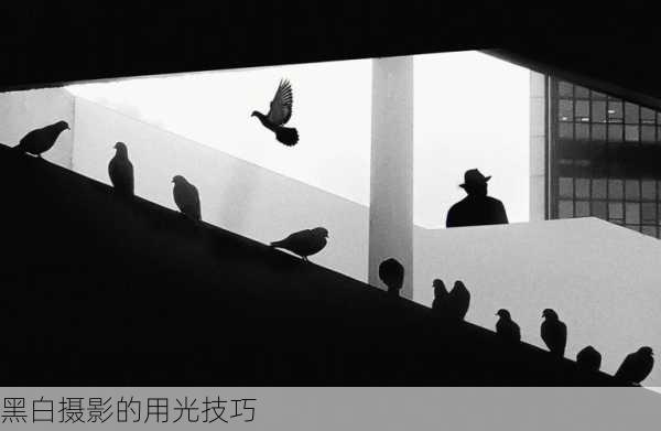 黑白摄影的用光技巧