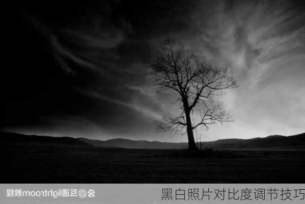 黑白照片对比度调节技巧