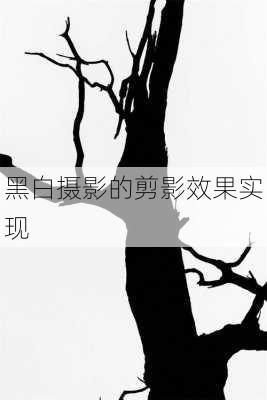 黑白摄影的剪影效果实现