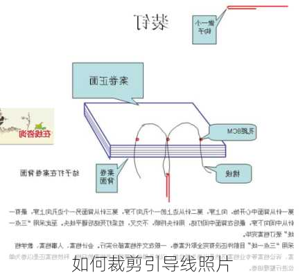 如何裁剪引导线照片