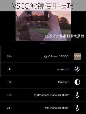 VSCO滤镜使用技巧