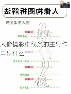 人像摄影中线条的主导作用是什么