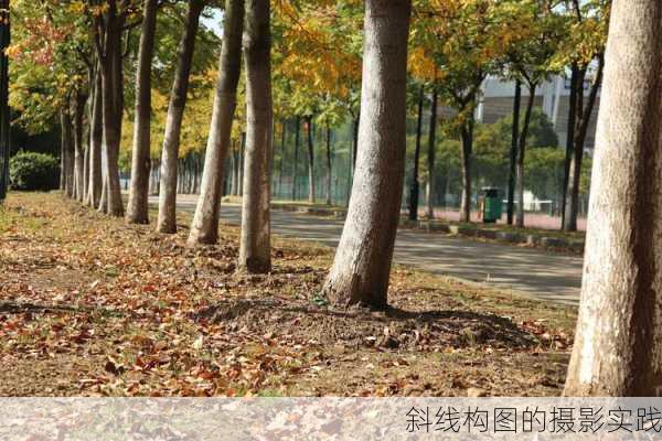 斜线构图的摄影实践